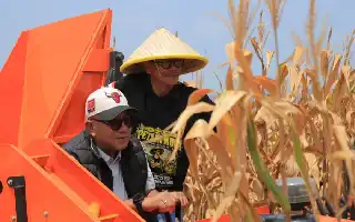 Manfaatkan Teknologi Modern, Petani Gen Z di Tanjungpinang Sukses Panen Raya Jagung Pakan