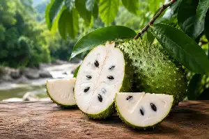 Menggali Potensi Nutrisi Sirsak: Buah Tropis dengan Segudang Manfaat bagi Kesehatan