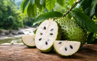 Menggali Potensi Nutrisi Sirsak: Buah Tropis dengan Segudang Manfaat bagi Kesehatan