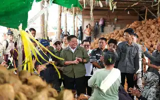Dorong Hilirisasi, Pemprov Sumsel Perkuat Akses Permodalan Pengusaha Muda Sektor Kelapa