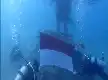Peringati HUT ke-81 RI, PB POSSI Kibarkan Bendera dan Tanam Karang di Bawah Laut Pemuteran Bali