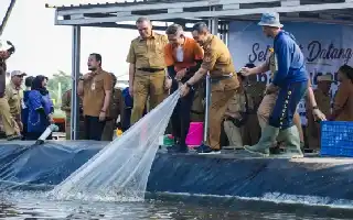 Inovasi Tambak Modern, Jawa Tengah Sukses Panen 1,3 Ton Udang di Tengah Kawasan Industri