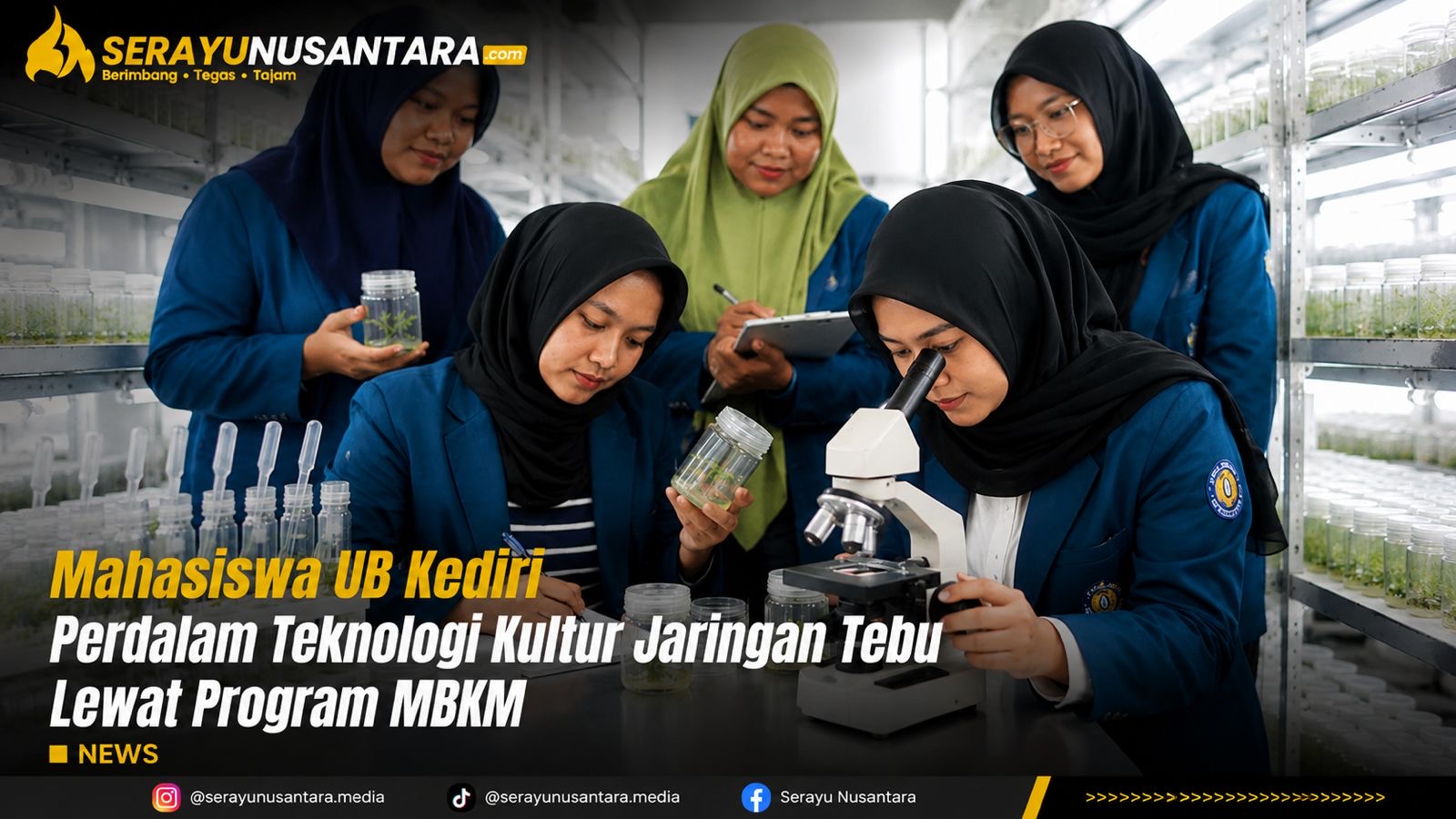 Dorong Inovasi Pertanian, Mahasiswa UB Kediri Pelajari Kultur Jaringan Tebu di Madiun