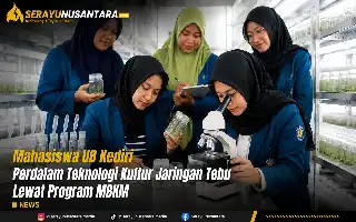 Dorong Inovasi Pertanian, Mahasiswa UB Kediri Pelajari Kultur Jaringan Tebu di Madiun
