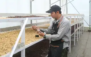 Pertamina Geothermal Energy Manfaatkan Panas Bumi untuk Percepat Pengeringan Kopi Arabika Kamojang